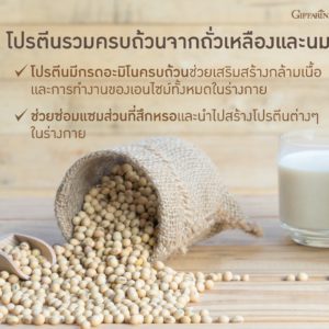 กิฟฟารีน โซย่า-เวย์ โปรตีน5