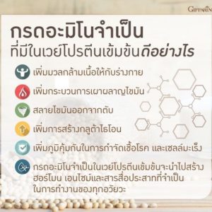 กิฟฟารีน โซย่า-เวย์ โปรตีน6