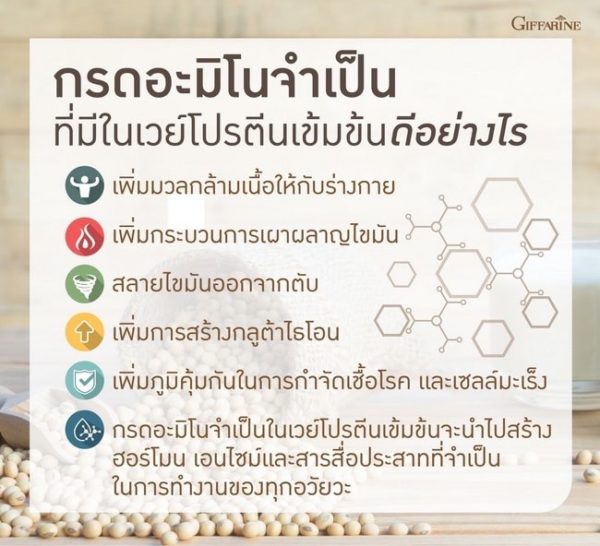 กิฟฟารีน โซย่า-เวย์ โปรตีน6