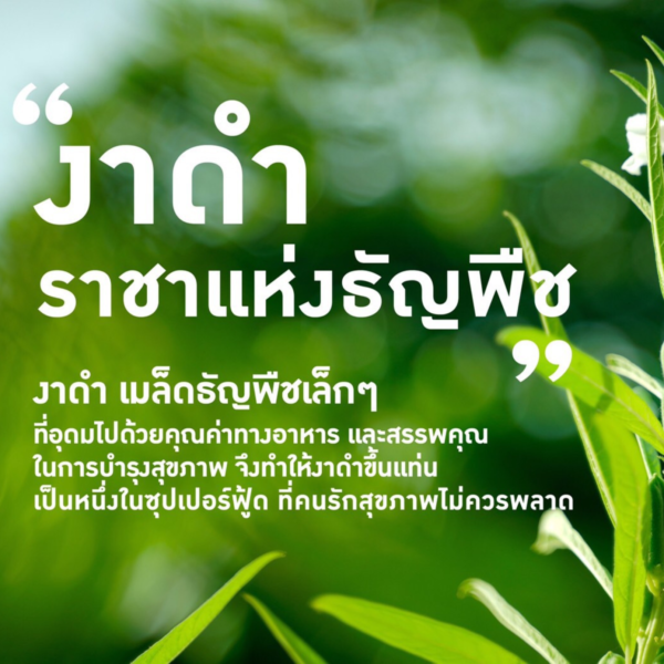 เซซามิน