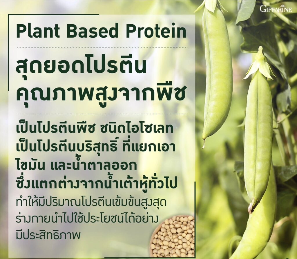 กิฟฟารีน วีแกน มัลติ แพลนท์ โปรตีน