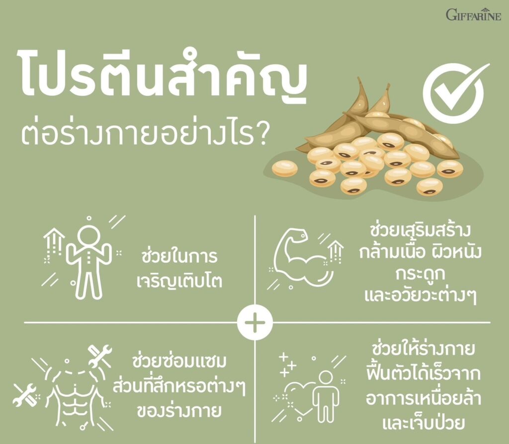 กิฟฟารีน วีแกน มัลติ แพลนท์ โปรตีน