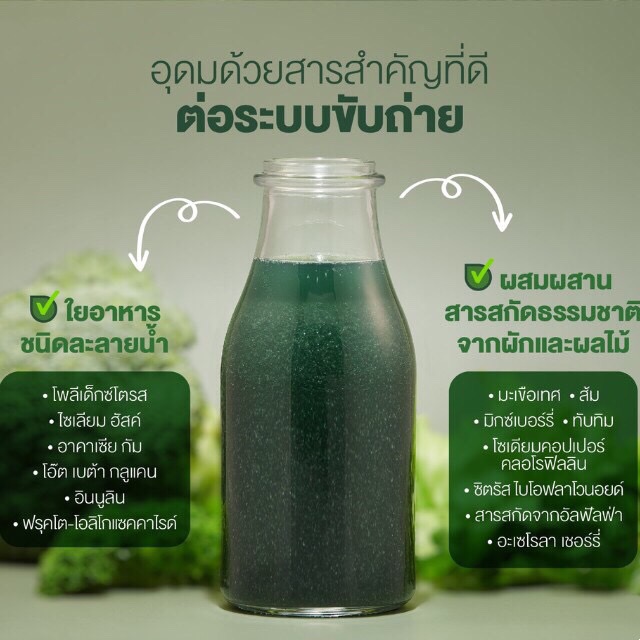 ไฟเบอร์ กิฟฟารีน