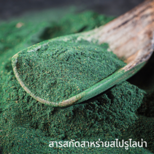 Spirulina Extract