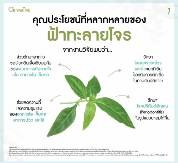 ยาแคปซูลฟ้าทะลายโจรสกัด2
