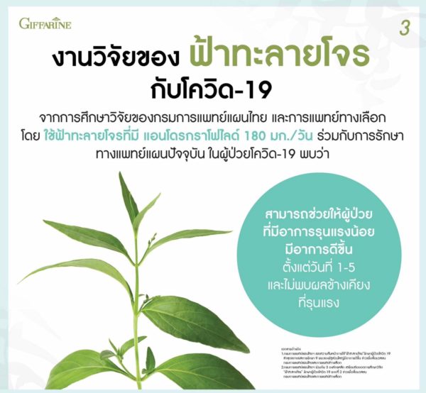 ยาแคปซูลฟ้าทะลายโจรสกัด4