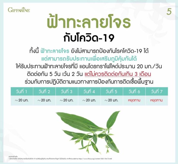 ยาแคปซูลฟ้าทะลายโจรสกัด6
