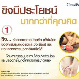 กิฟฟารีน จินเจอร์-ซี 1