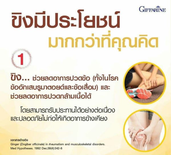 กิฟฟารีน จินเจอร์-ซี 1