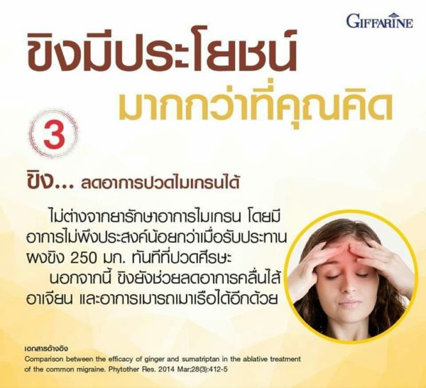 กิฟฟารีน จินเจอร์-ซี 3