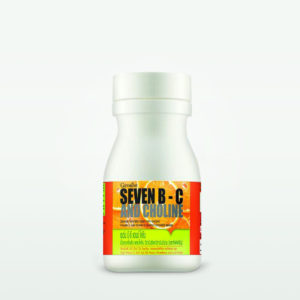 seven-b-c-01