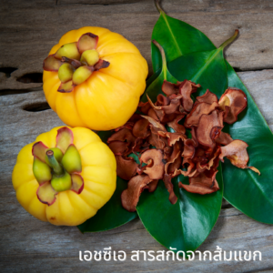 Garcinia Cambogia Extract