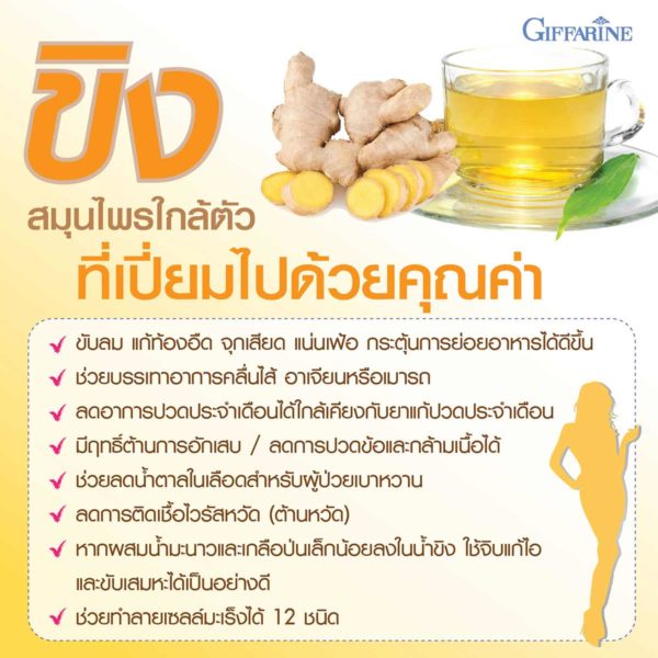 Ginger-03