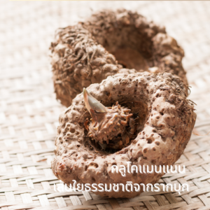 Glucomamnan-01