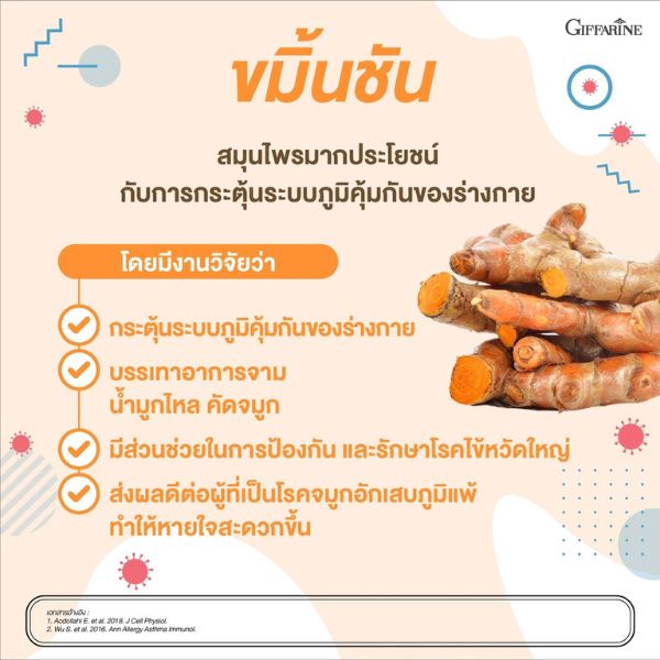ขมิ้นชัน