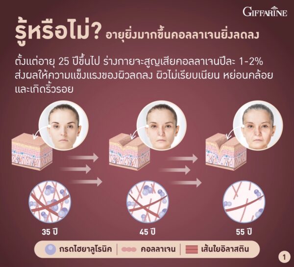 คอลลาเจน เวย์ โปรตีน พลัส+