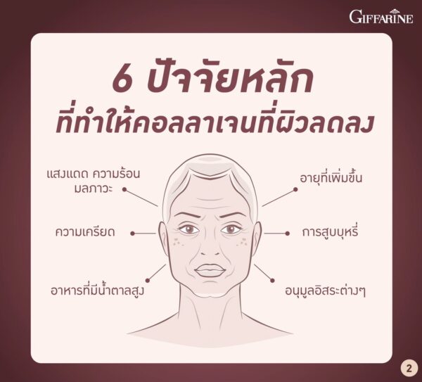 คอลลาเจน เวย์ โปรตีน พลัส+