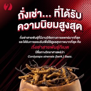 กิฟฟารีน ถั่งเช่า ผสมวิตามินซี ชนิดแคปซูล (20 แคปซูล) - Image 6