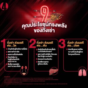 กิฟฟารีน ถั่งเช่า ผสมวิตามินซี ชนิดแคปซูล (20 แคปซูล) - Image 8