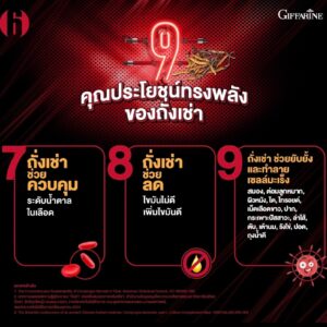 กิฟฟารีน ถั่งเช่า