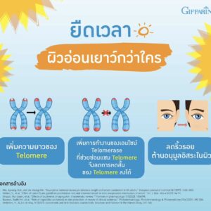 กิฟฟารีน ไลท์อะเวย์