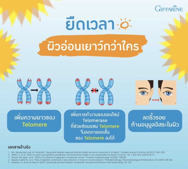 กิฟฟารีน ไลท์อะเวย์