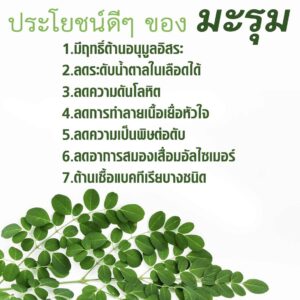 กิฟฟารีน มะรุม-ซี