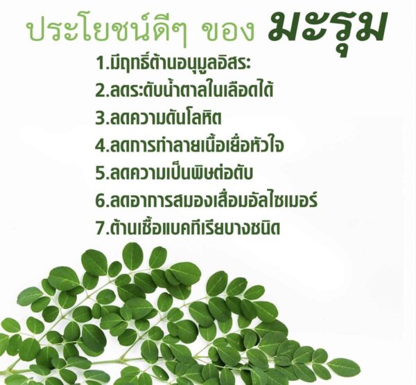 กิฟฟารีน มะรุม-ซี